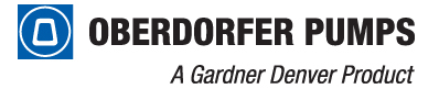 Oberdorfer Pumps ad Oberdorfer Pumps ad